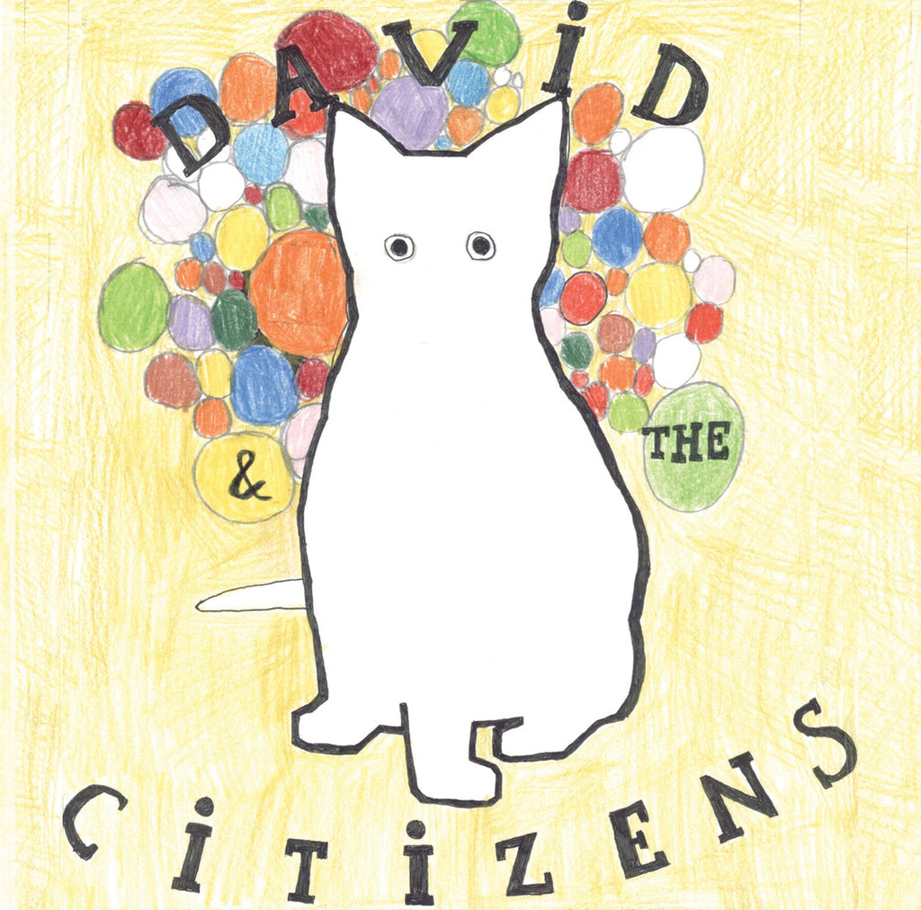 David & the Citizens -  1999 – 2005 (DVD)