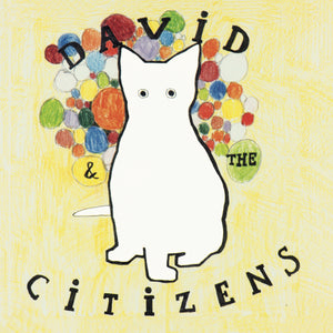 David & the Citizens - 2 vinyl bundle